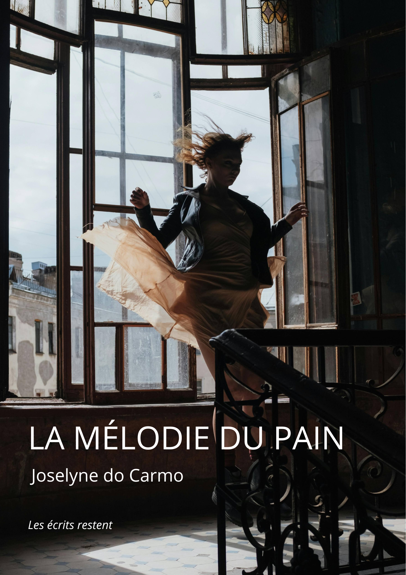 lmdp cover wordpress